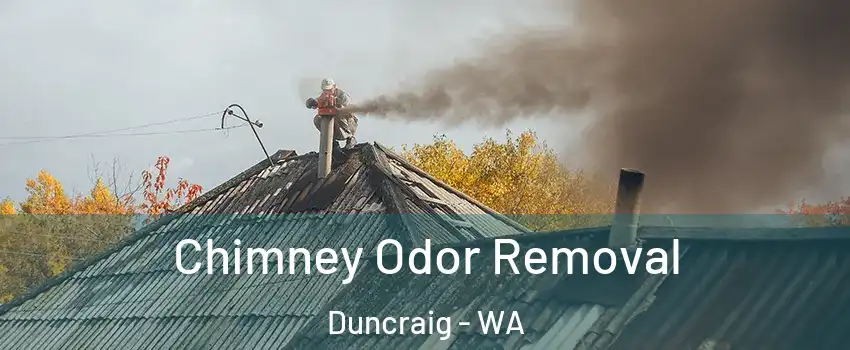Chimney Odor Removal Duncraig - WA
