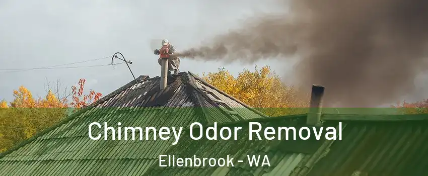 Chimney Odor Removal Ellenbrook - WA