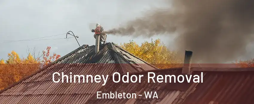 Chimney Odor Removal Embleton - WA