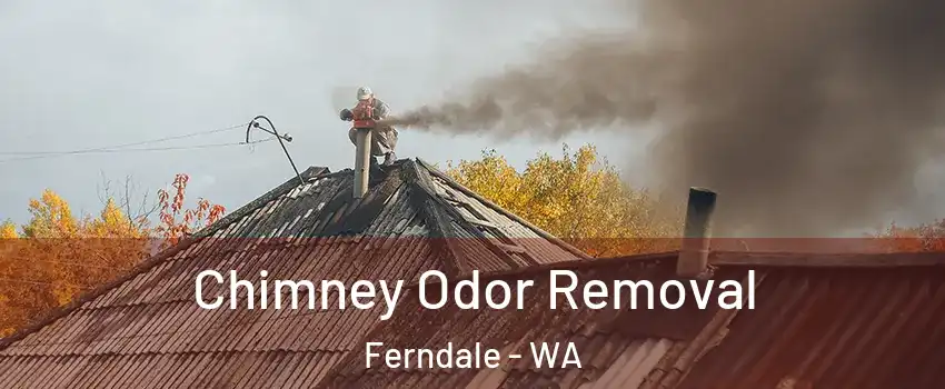 Chimney Odor Removal Ferndale - WA