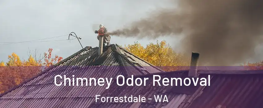  Chimney Odor Removal Forrestdale - WA
