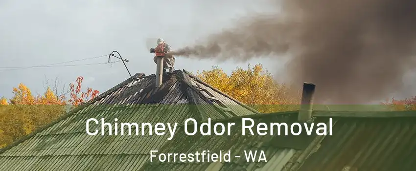 Chimney Odor Removal Forrestfield - WA