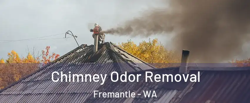 Chimney Odor Removal Fremantle - WA