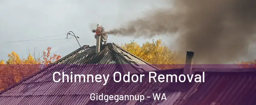 Chimney Odor Removal Gidgegannup - WA