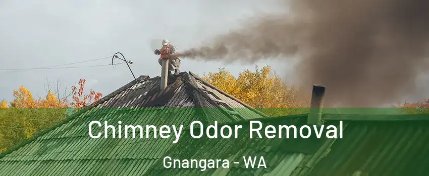 Chimney Odor Removal Gnangara - WA