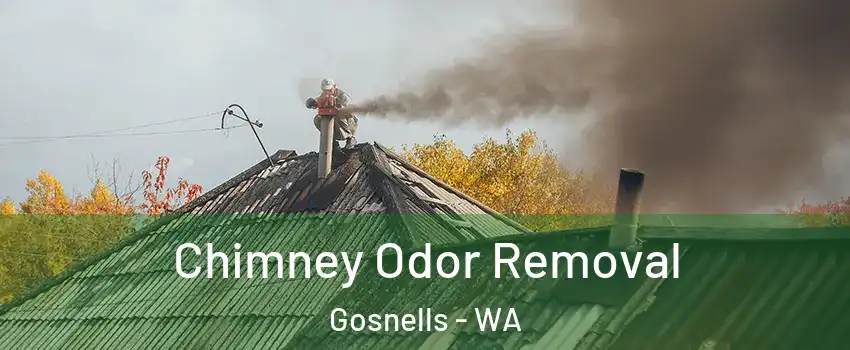 Chimney Odor Removal Gosnells - WA
