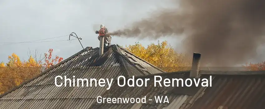 Chimney Odor Removal Greenwood - WA