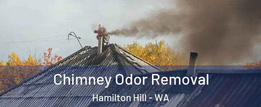 Chimney Odor Removal Hamilton Hill - WA