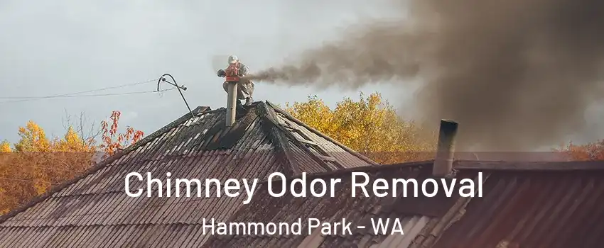 Chimney Odor Removal Hammond Park - WA