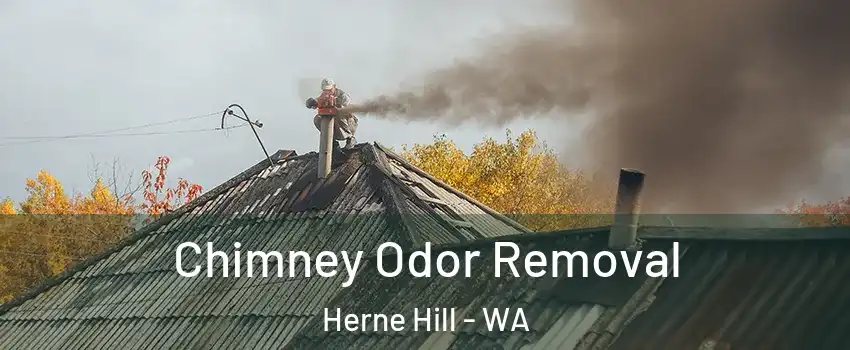 Chimney Odor Removal Herne Hill - WA
