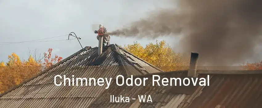 Chimney Odor Removal Iluka - WA