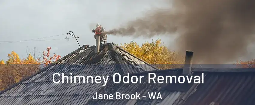 Chimney Odor Removal Jane Brook - WA
