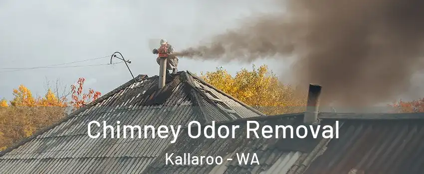 Chimney Odor Removal Kallaroo - WA