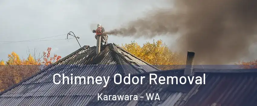 Chimney Odor Removal Karawara - WA