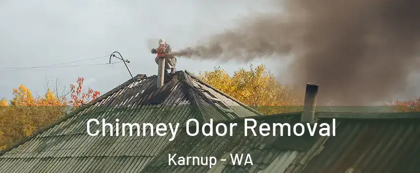 Chimney Odor Removal Karnup - WA