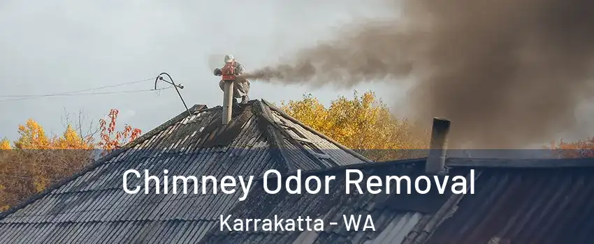 Chimney Odor Removal Karrakatta - WA