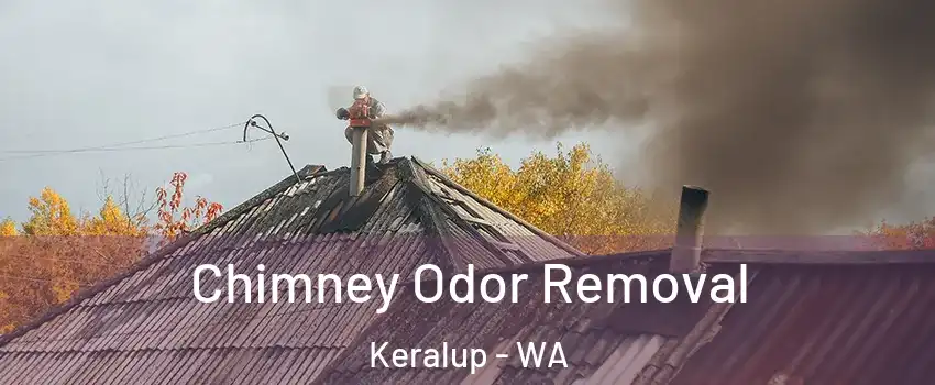 Chimney Odor Removal Keralup - WA