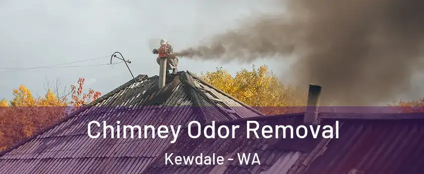 Chimney Odor Removal Kewdale - WA