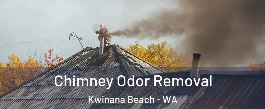 Chimney Odor Removal Kwinana Beach - WA