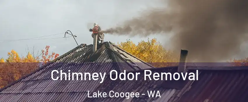 Chimney Odor Removal Lake Coogee - WA