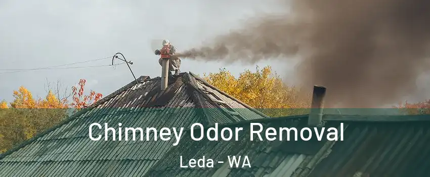 Chimney Odor Removal Leda - WA