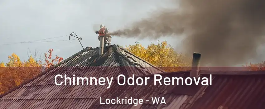 Chimney Odor Removal Lockridge - WA