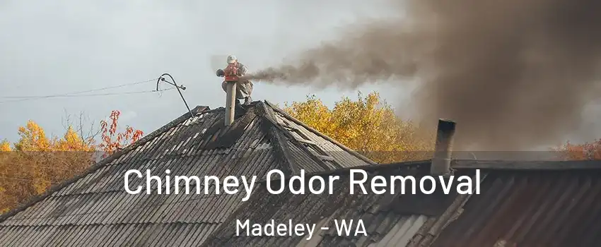 Chimney Odor Removal Madeley - WA
