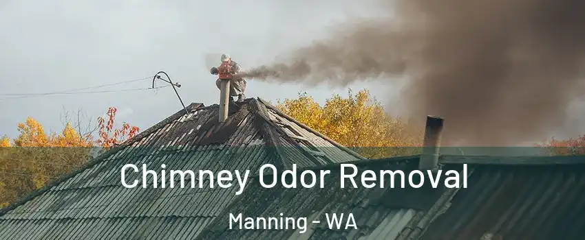 Chimney Odor Removal Manning - WA