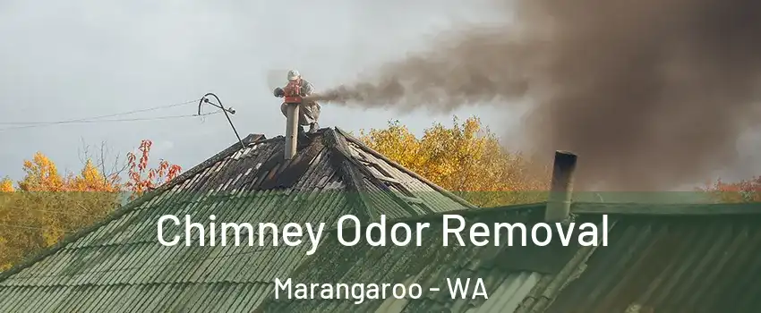 Chimney Odor Removal Marangaroo - WA
