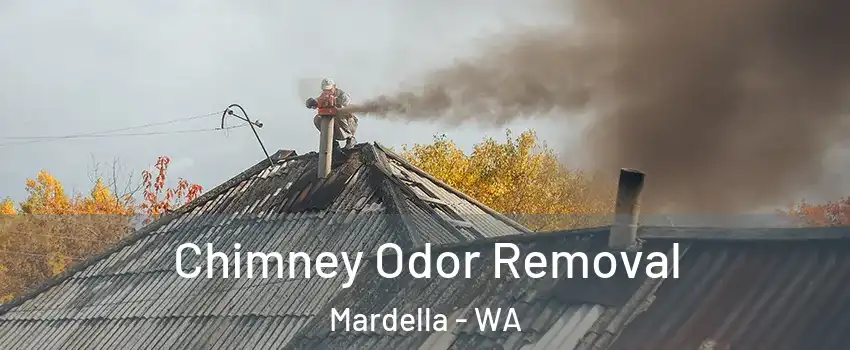 Chimney Odor Removal Mardella - WA