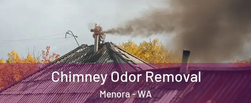 Chimney Odor Removal Menora - WA