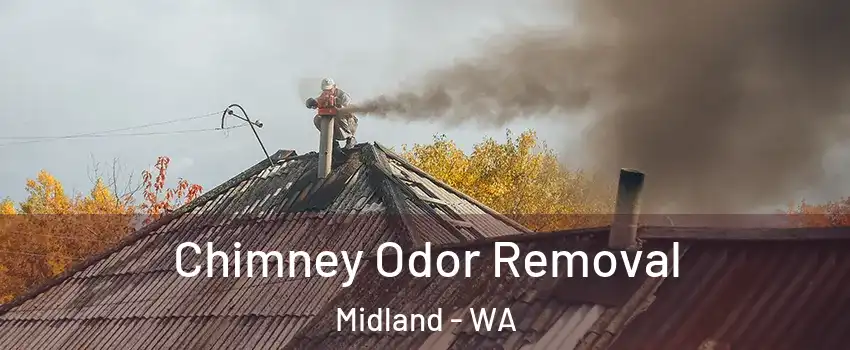 Chimney Odor Removal Midland - WA