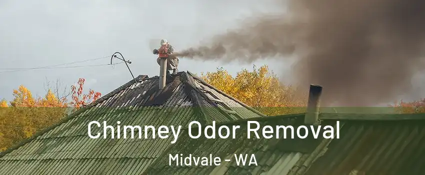 Chimney Odor Removal Midvale - WA