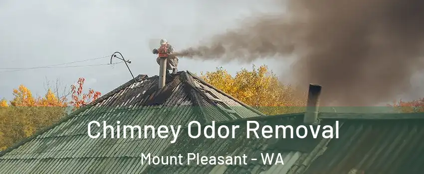 Chimney Odor Removal Mount Pleasant - WA