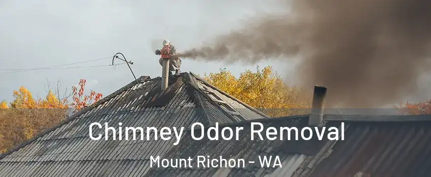 Chimney Odor Removal Mount Richon - WA