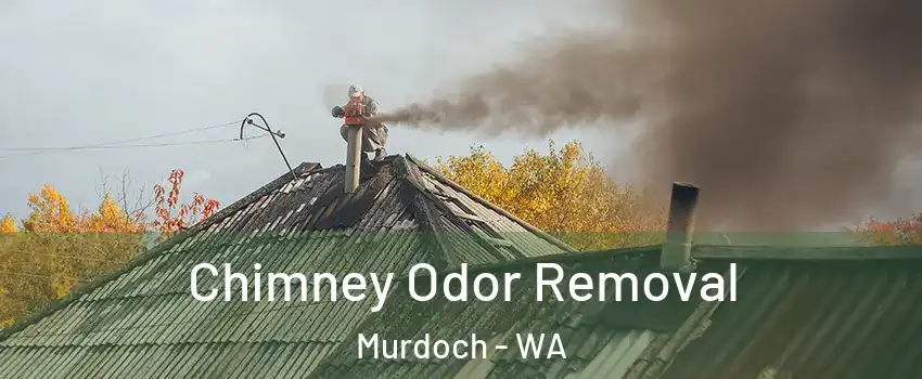 Chimney Odor Removal Murdoch - WA