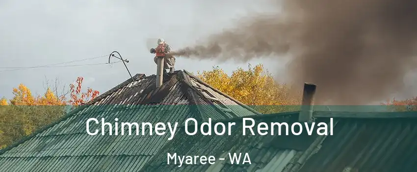 Chimney Odor Removal Myaree - WA