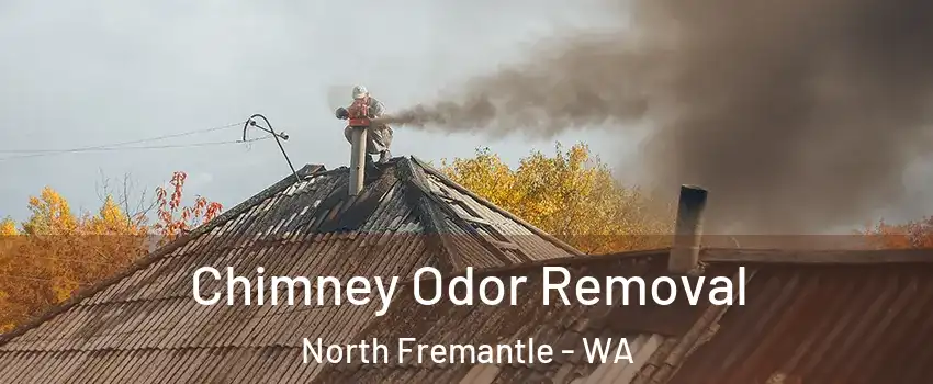 Chimney Odor Removal North Fremantle - WA
