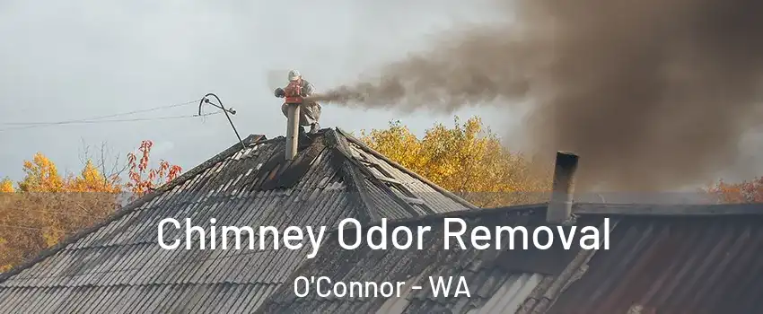 Chimney Odor Removal O'Connor - WA