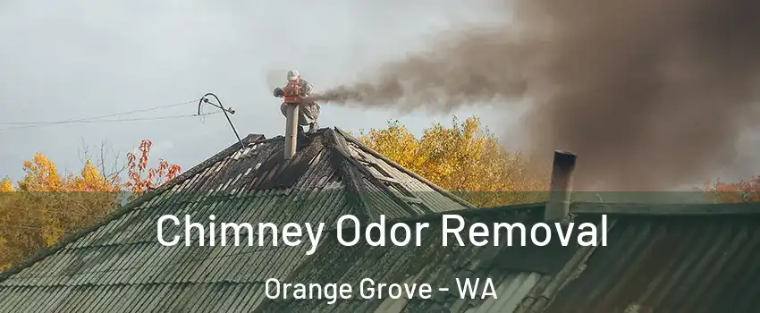 Chimney Odor Removal Orange Grove - WA