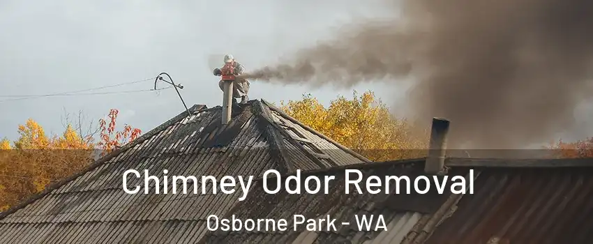 Chimney Odor Removal Osborne Park - WA