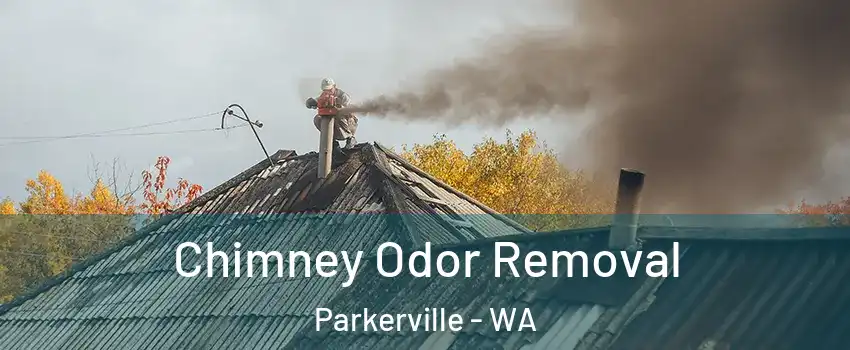 Chimney Odor Removal Parkerville - WA