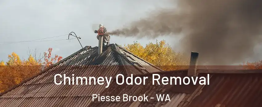 Chimney Odor Removal Piesse Brook - WA