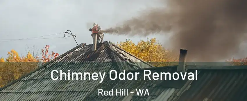 Chimney Odor Removal Red Hill - WA
