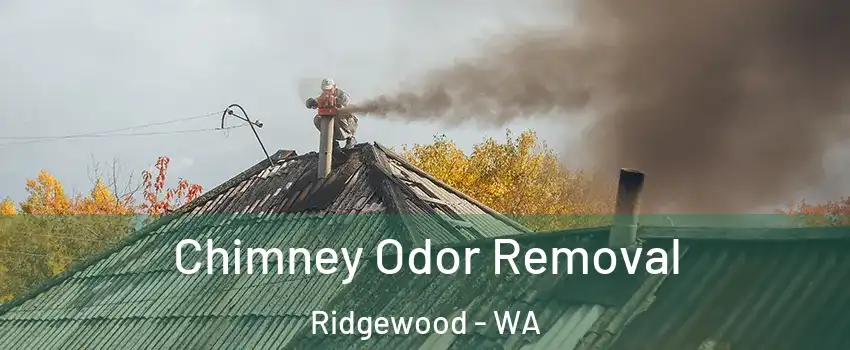 Chimney Odor Removal Ridgewood - WA