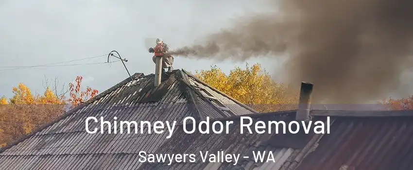 Chimney Odor Removal Sawyers Valley - WA