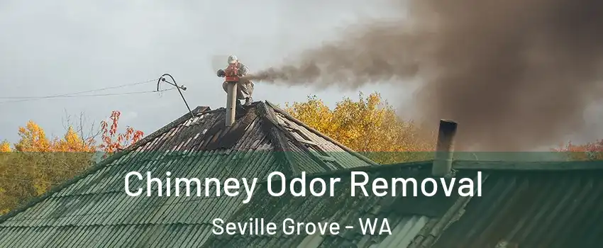Chimney Odor Removal Seville Grove - WA