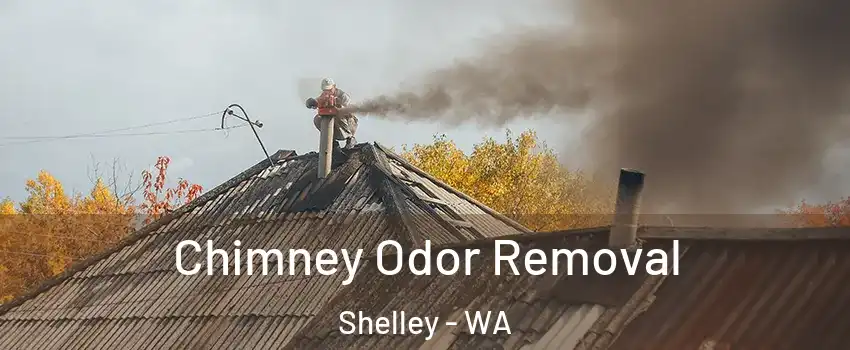 Chimney Odor Removal Shelley - WA