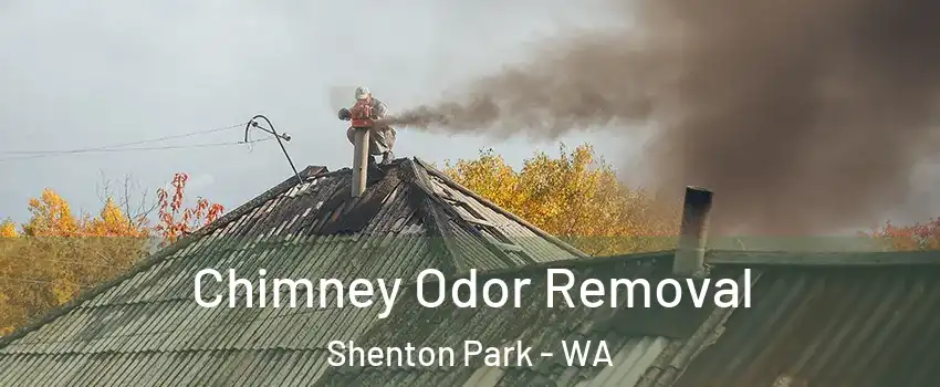 Chimney Odor Removal Shenton Park - WA