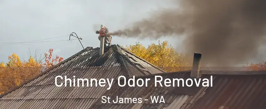 Chimney Odor Removal St James - WA